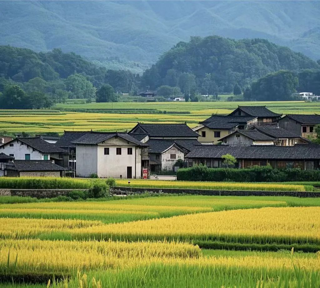 别再只认&ldquo;有机&rdquo;了！功能性农产品凭什么成为餐桌新宠？