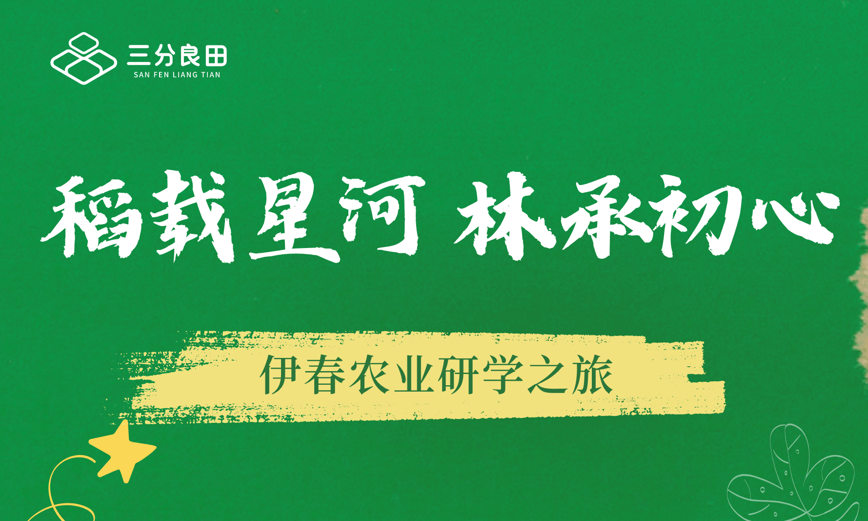 伊春研学｜在稻田里追光，在森林中撒野，解锁假期限定快乐！