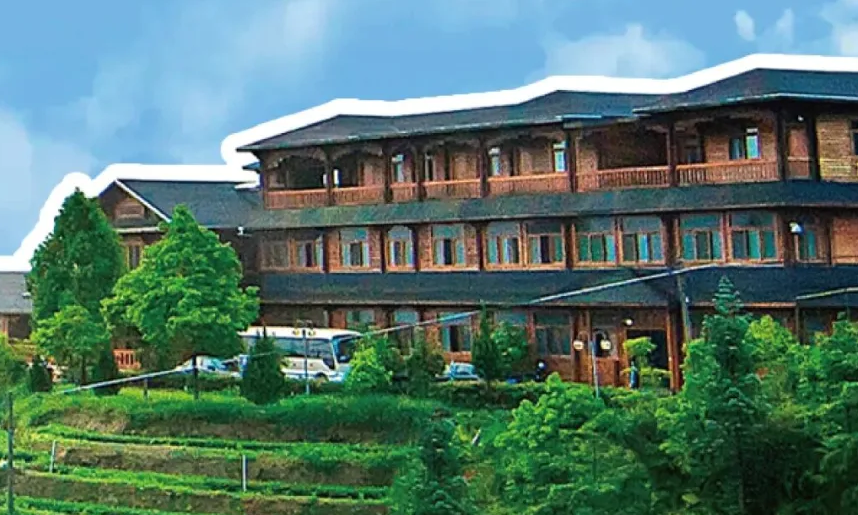 为什么说农文康旅是未来 10 年的 &ldquo;财富密码&rdquo;？答案藏在乡村里