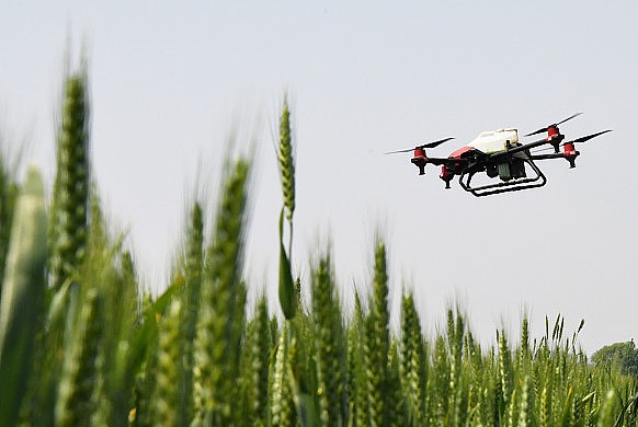 携手共绘林下经济新图景｜双丰林业局与三分良田达成战略合作意向