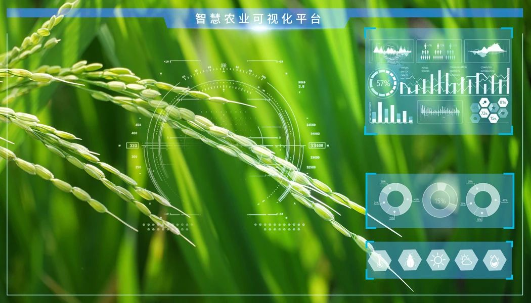 聚势谋远启新程|我司与杭州丰禾谷源举行合作洽谈会