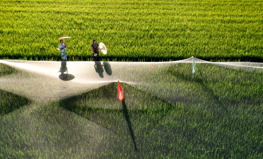 三分良田 | 营销平台