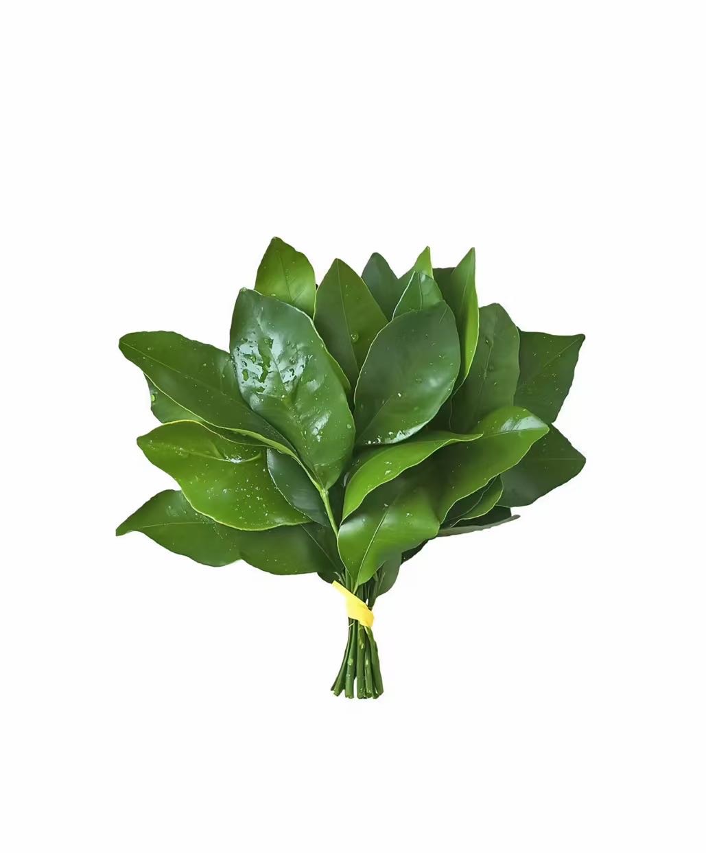 金穗丰禾农业科技有限公司