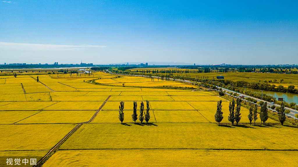 【30亩】太空米稻田托管-双丰