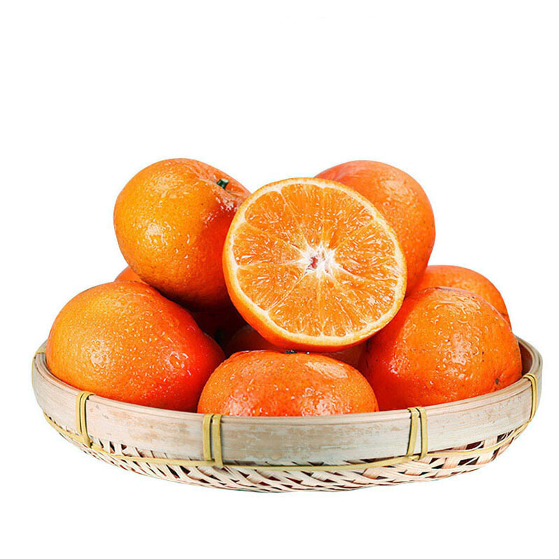 沃柑（广西，中