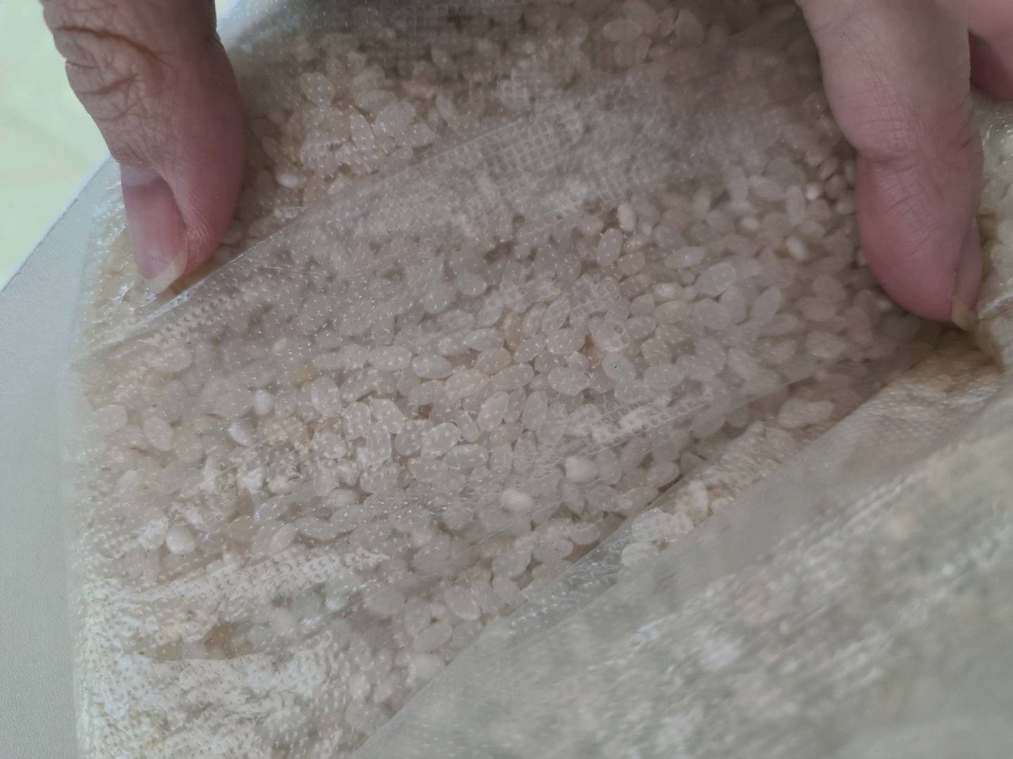 学校营养餐供应